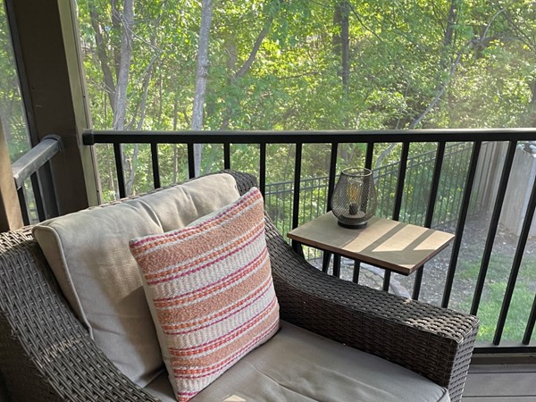 Three season screened in porch is open for business. Bring on summertime!