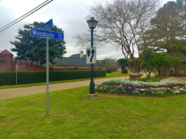 Spring flowers at the Woodgate entrance 