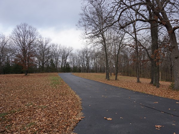 The Estates of Kinderhook offers paved roads and underground utilities 