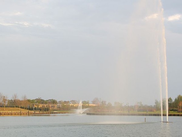 Fountainview at Sugar Mill Pond