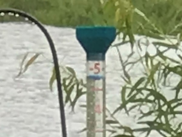 McAlester received almost 5"inches of rain today 