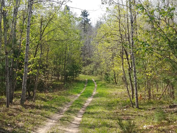 Take a friend for a spring run on the VASA trails