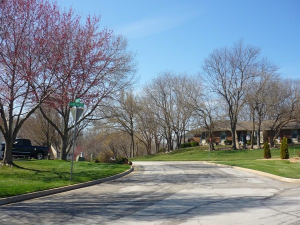 Southwest Meyer Boulevard in Somerset Estates