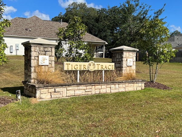 Tiger Trace subdivision developed by DSLD