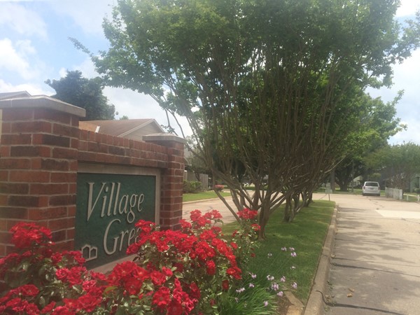 Adorable Townhomes near LSU-S.  Average List Price today, $129,900