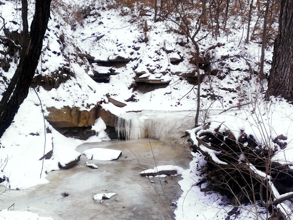 A winter scene from one of Gladstone's parks