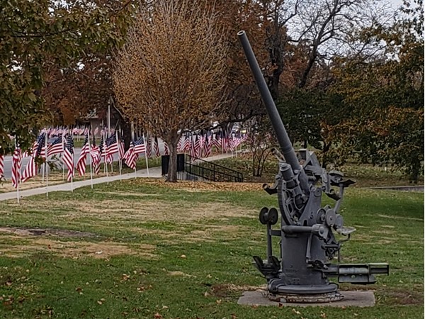 Veterans Day Flags at City Park 