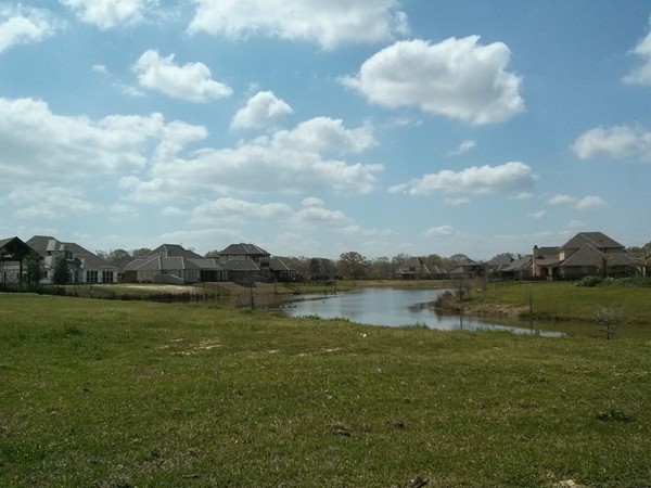 One of the many lakes in Carriagewood Estates