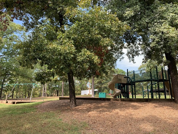Playground and picnic area at Woolly Hollow State Park