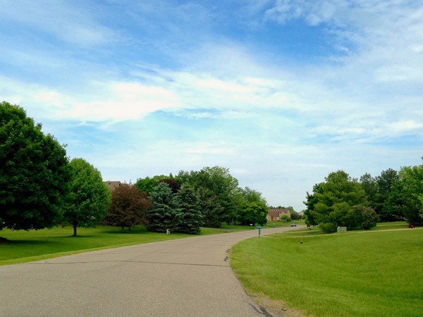 Main road through Mallard Cove featuring large lots and mature trees