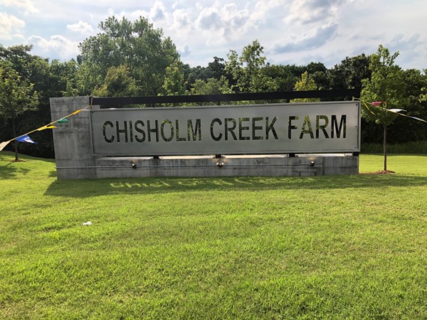 Welcome to +Chisholm Creek Farms 
