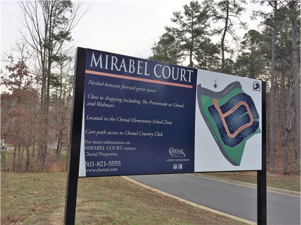 Mirabel Court neighborhood near the Promenade at Chenal, West Little Rock