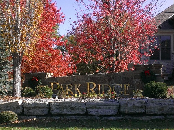 Park Ridge subdivision entrance
