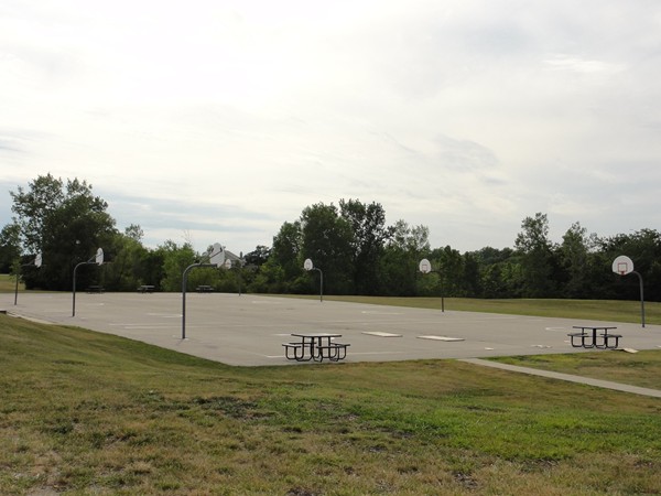 Lakeview Middle Schools basketball courts are just steps away from Riss Valley! 