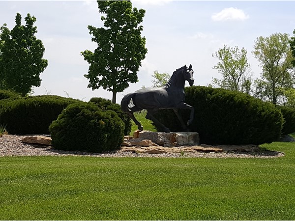 This young colt looks like he's hiding in the bushes. One of the many statues in Saddlridge Estates