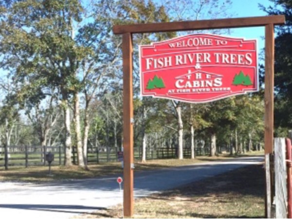 Fish River Trees is where you can find the perfect tree and meet Santa 