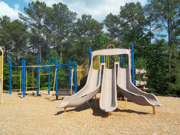 Phelps Center playground