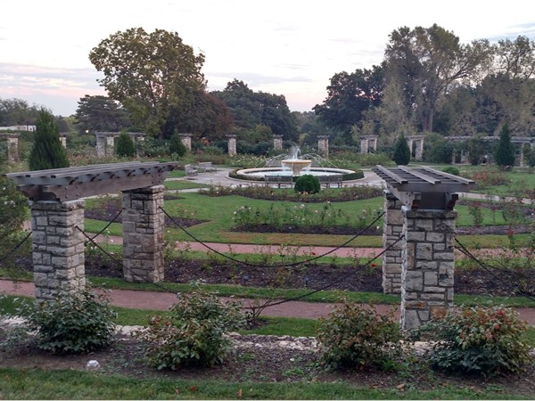 The Rose Garden in Loose Park 
