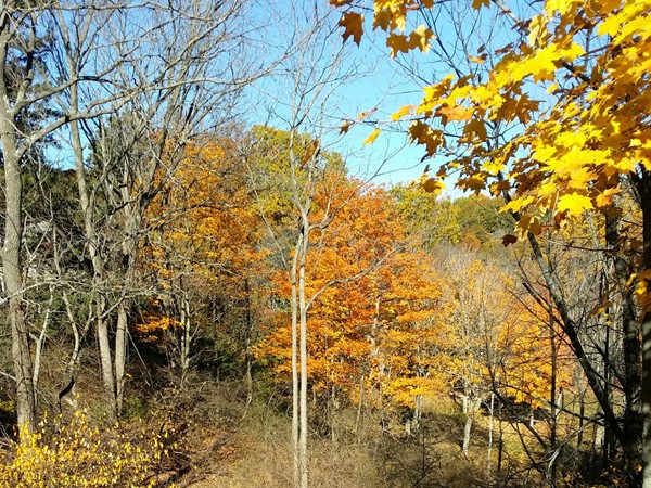 Fall in Spring Grove