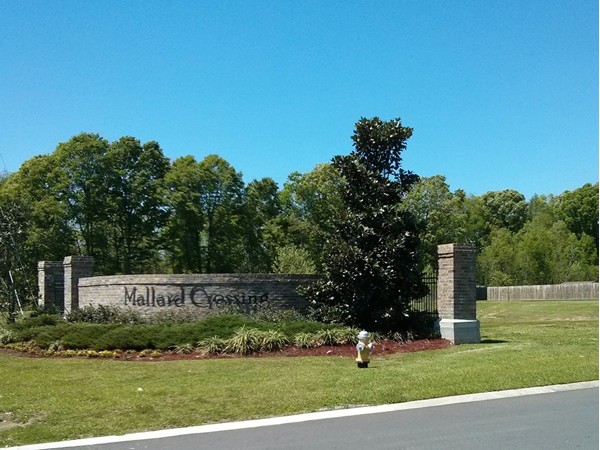 Mallard Crossing Entrance