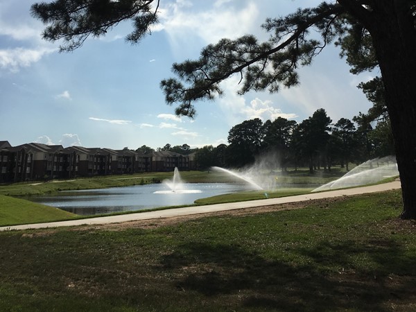 Beautiful fountain and golf course between The Greens Apartments and Longhills Village subdivision. 