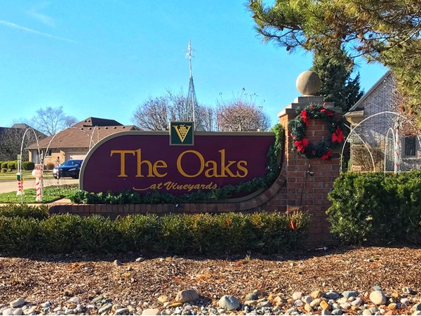  The Oaks at Vineyards - Single Family Homes