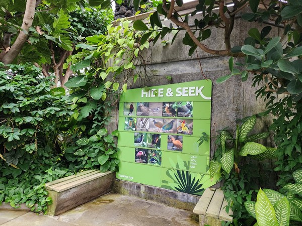 Animals in the Tropical Rainforest Dome at the Topeka Zoo