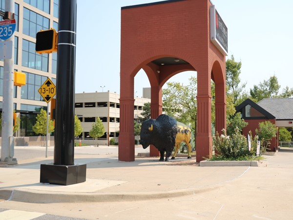 Buffalo statue located on the corner of NW 7th in Automobile Alley 
