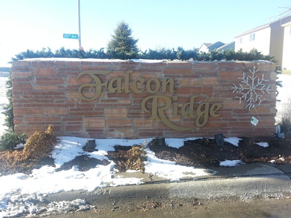 Falcon Ridge neighborhood