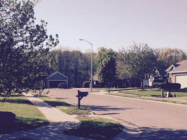 Tree-lined Brookeshire subdivision 