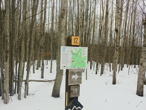 Don't hide from the snow! Grab your cross country skis and head to the VASA Trails