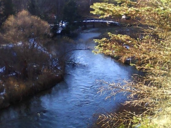 Bear Creek in Kaleva