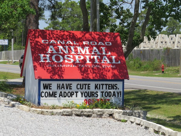 Visit Dr. Julie at Canal Road Animal Hospital!