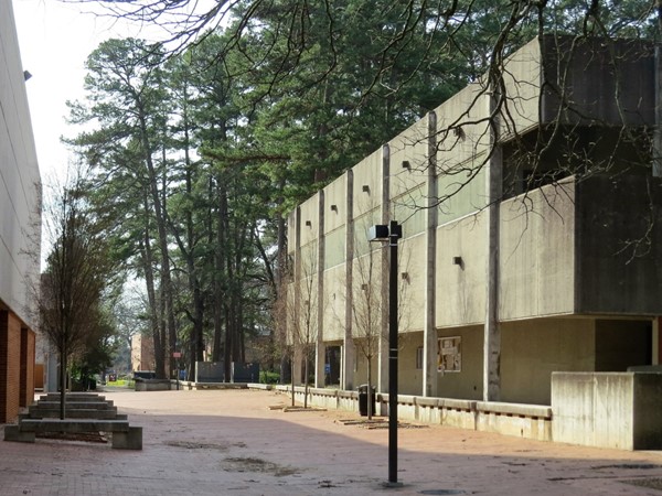 The Physics & Astronomy Building along the main walkway at UALR