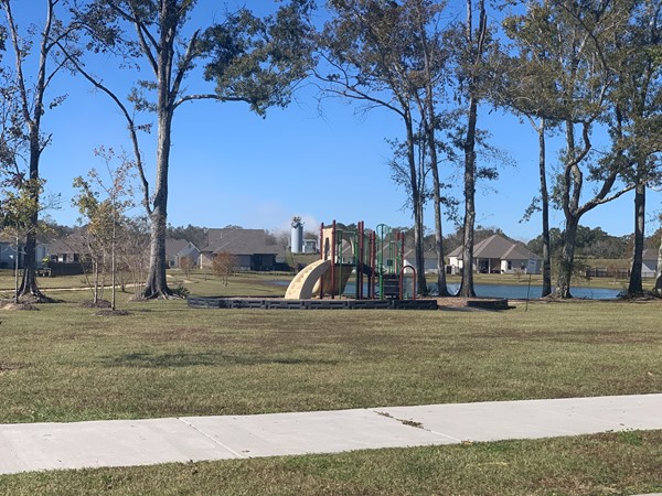 A photo of the community playground in Cypress Lakes Subdivision