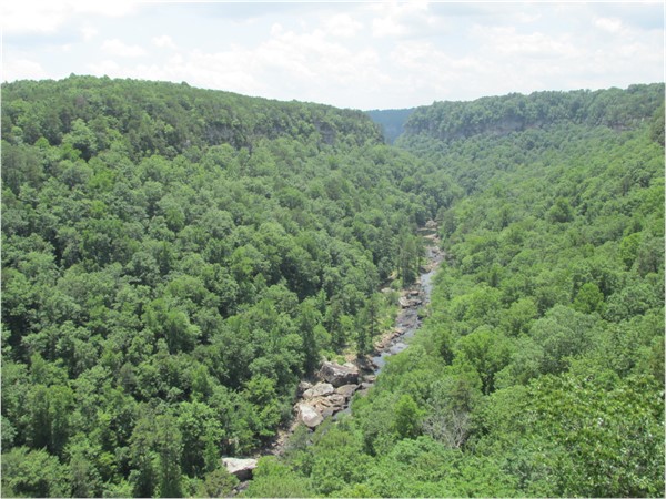 View of Little River Canyon from Wolf Creek Overlook. Great place to have a picnic