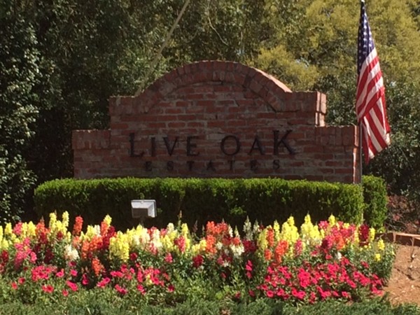 Live Oak Estates subdivision entrance