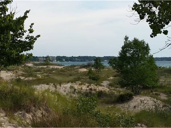 A walk through the forest into soft sand dunes, and out to the water