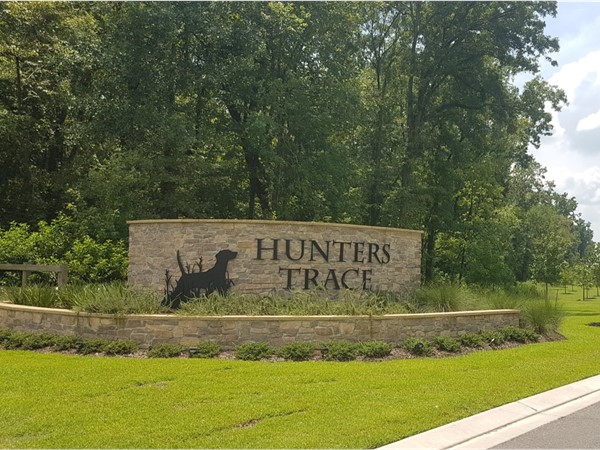 Hunter's Trace is a DSLD community in South Baton Rouge. Newest phase under construction 