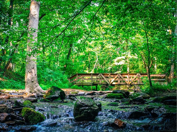 Enjoy the natural beauty of Collins Creek with your family! Outdoors in Heber Springs