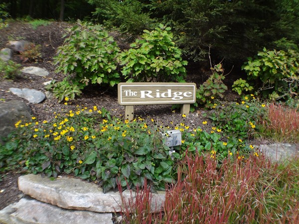 The Ridge Development entrance