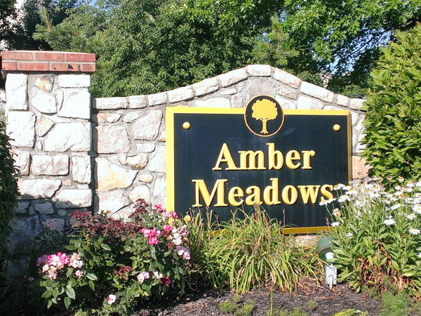 Amber Meadows