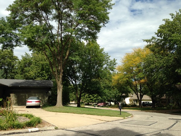 Winding streets among the homes and trees of Country Club North