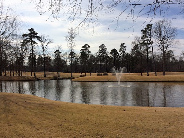 The Chenal Valley Country Club is a great place to enjoy nature
