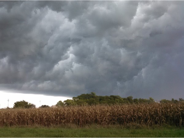 Storm clouds rolling in over the corn field east of Sedalia