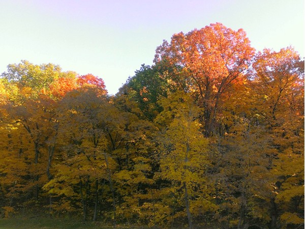 Fall at Maple Woods Nature Preserve