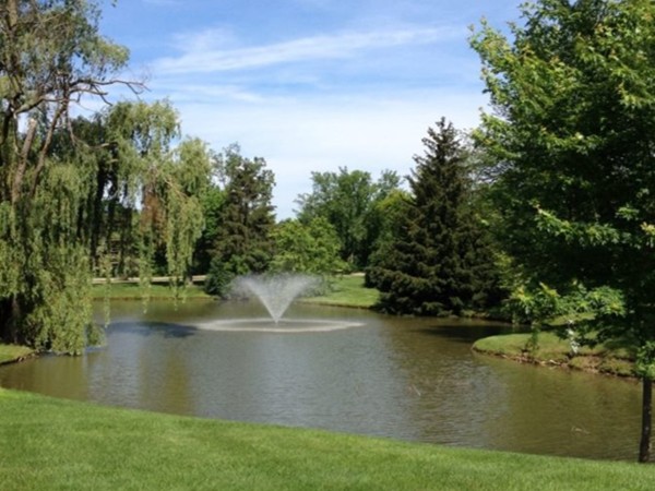 The Earhart Village pond and water fountain in the summertime is such a joy to hear
