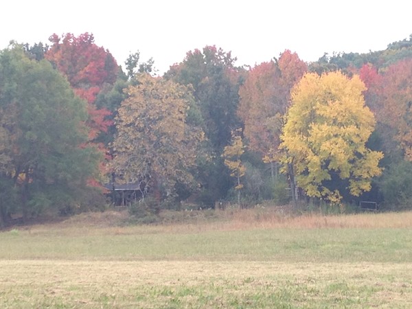 Beautiful fall colors in East Conway
