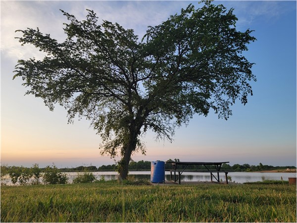 A heart-shaped tree shades the picnic table by the serene lake inviting a romantic afternoon for two
