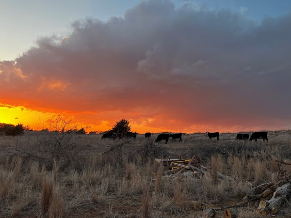 Western Oklahoma sunsets are stunning to behold - one of the many special things about this area